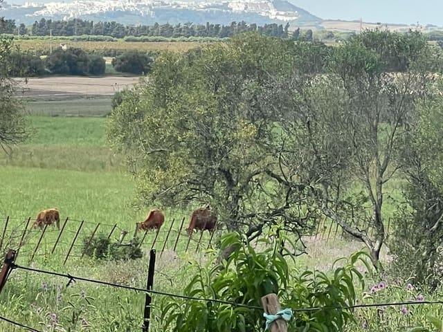 Finca/Casa Rural en venta en Vejer de la Frontera, Cádiz Costa de la Luz