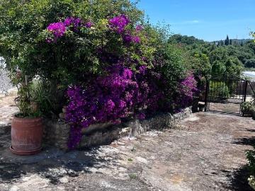 Finca/Casa Rural en venta en Vejer de la Frontera, Cádiz Costa de la Luz