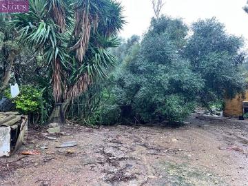 Finca/Casa Rural en venta en Vejer de la Frontera, Cádiz Costa de la Luz