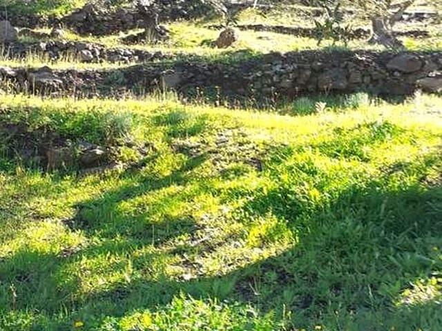 Finca/Casa Rural en venta en Arenas de Velez, Málaga Costa del Sol