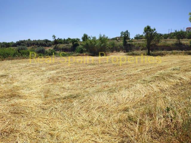 Finca/Casa Rural en venta en Vélez Rubio, Almería