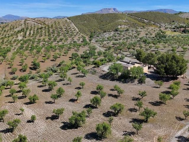 Finca/Casa Rural en venta en Vélez Rubio, Almería