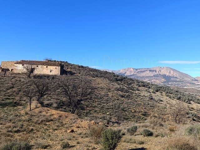 Finca/Casa Rural en venta en Vélez Rubio, Almería