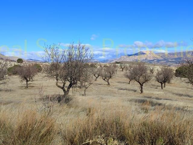 Finca/Casa Rural en venta en Vélez Rubio, Almería