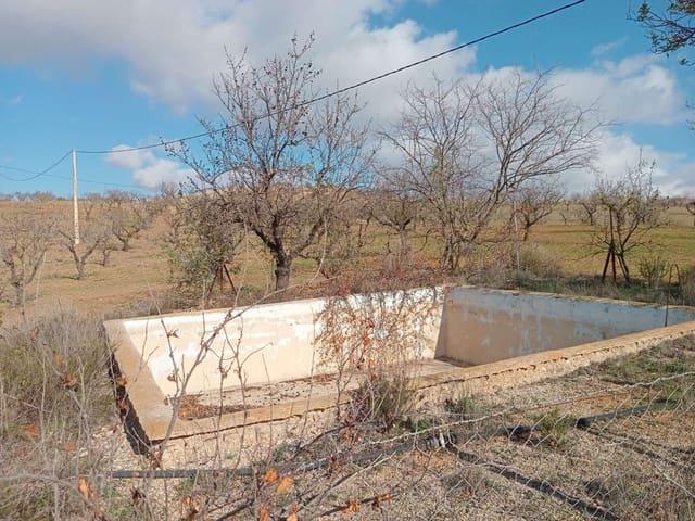 Finca/Casa Rural en venta en Vélez Rubio, Almería