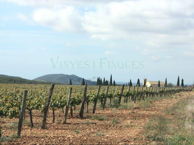 Finca/Casa Rural en venta en Vila rodona, Tarragona
