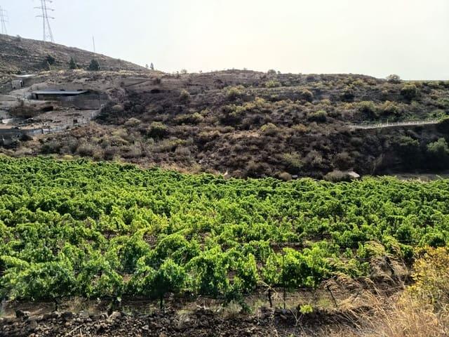 Finca/Casa Rural en venta en Villa de Arico, Tenerife