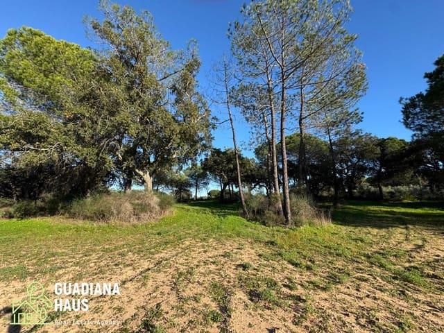 Finca/Casa Rural en venta en Villablanca, Huelva