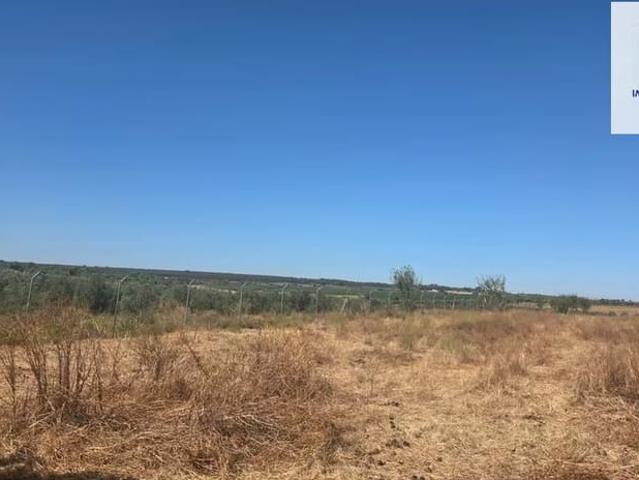 Finca/Casa Rural en venta en Villalba del Alcor, Huelva