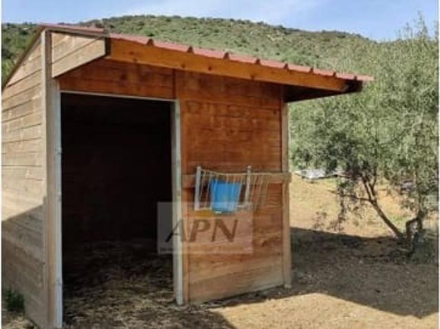 Finca/Casa Rural en venta en Villanueva de la Concepcion, Málaga