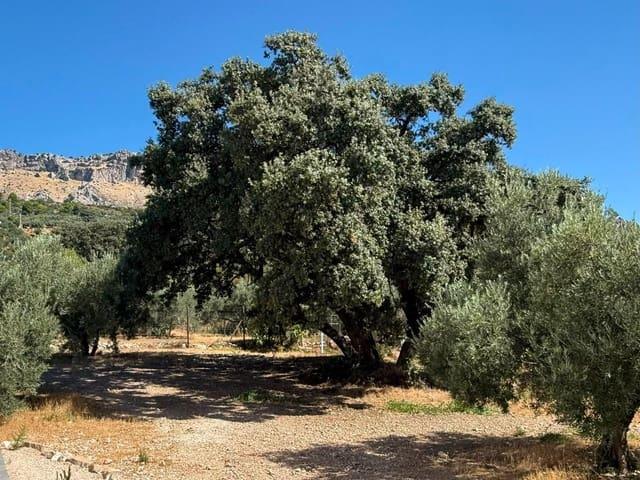 Finca/Casa Rural en venta en Villanueva de la Concepcion, Málaga