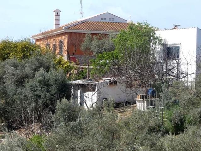 Finca/Casa Rural en venta en Villanueva de la Concepcion, Málaga