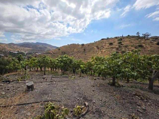 Finca/Casa Rural en venta en Viñuela, Málaga