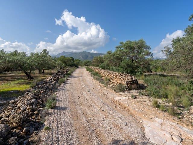 Finca/Casa Rural en venta en Xerta, Tarragona