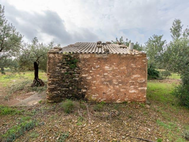 Finca/Casa Rural en venta en Xerta, Tarragona