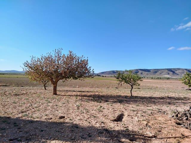 Finca/Casa Rural en venta en Yecla, Murcia