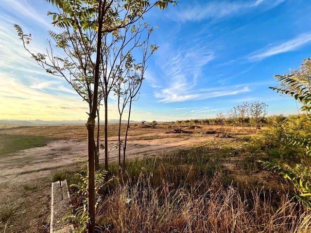Finca/Casa Rural en venta en Yecla, Murcia
