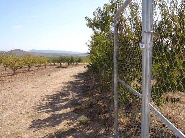 Finca/Casa Rural en venta en Raspay, Murcia