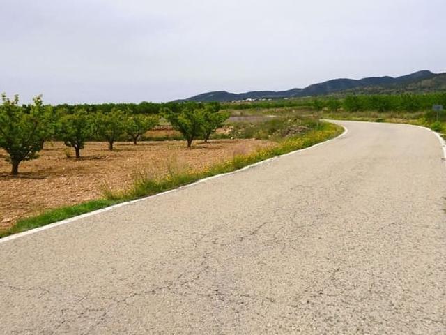Finca/Casa Rural en venta en Yecla, Murcia