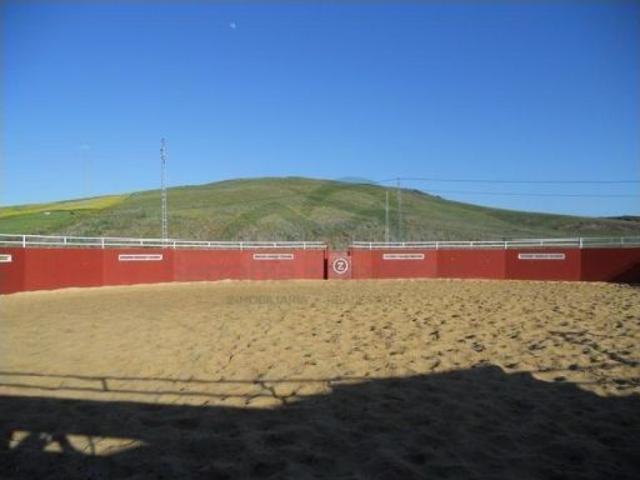 Finca/Centro Ecuestre, 3 Viviendas