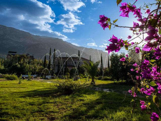 Finca/Country House for rent in Sóller, Mallorca