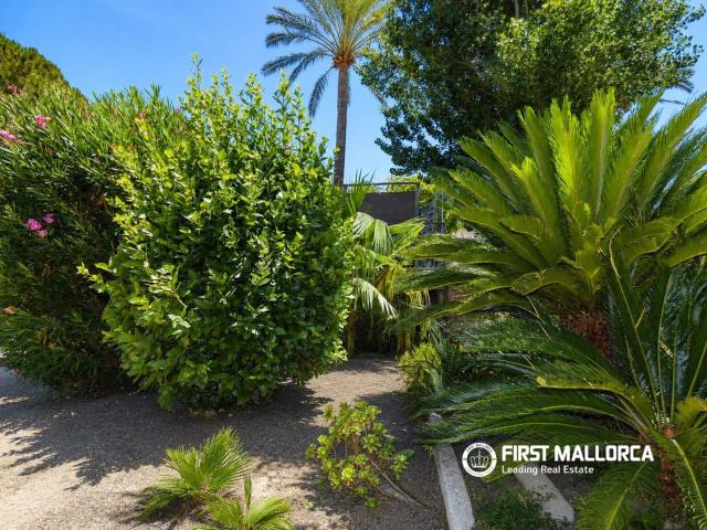 Finca/Country House for rent in Pollensa / Pollença, Mallorca