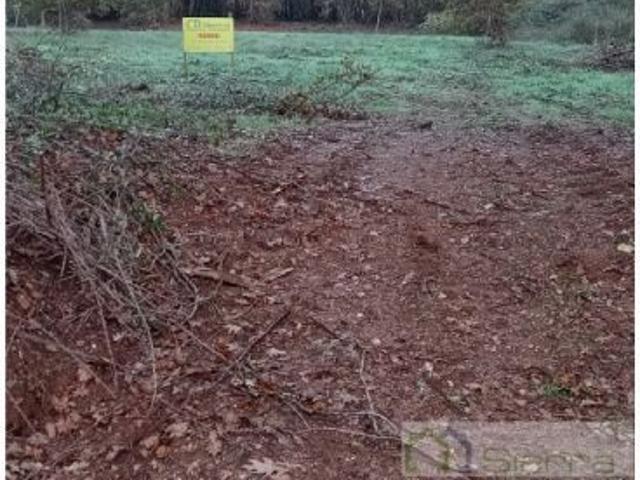 Fincas en venta en Rubián