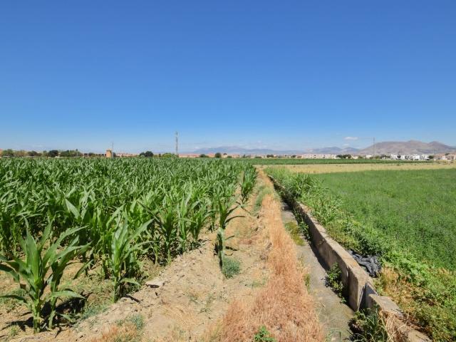 FINCAS RUSTICAS DE 5 Y 6 MARJALES EN CÚLLAR VEGA
