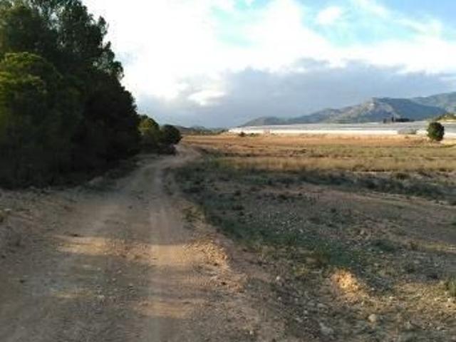 Fincas Rústicas en venta en Aledo