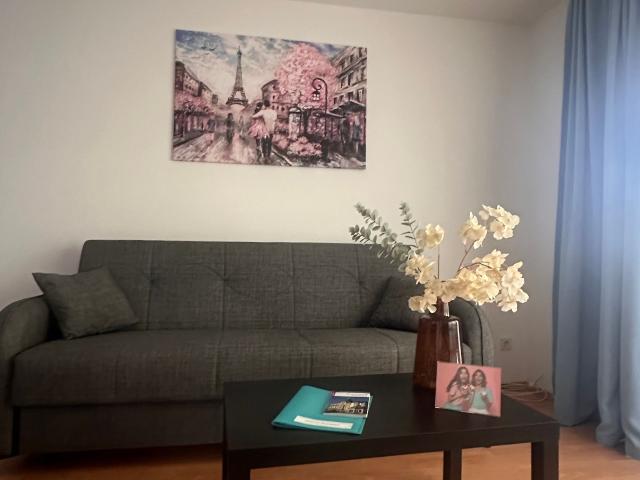 Finest and lovingly furnished temporary flat in Wiesbaden