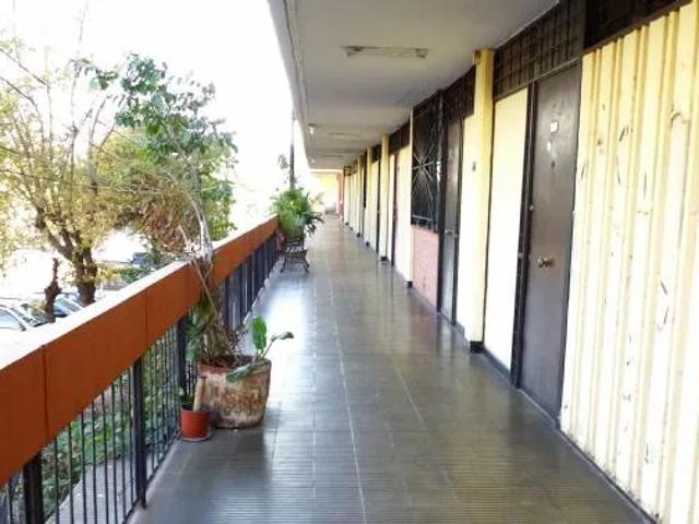 Fidias/obispo orrego