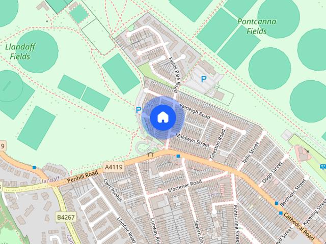 Fields Park Road, Pontcanna
