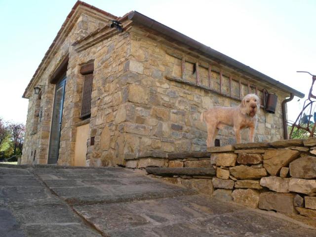 Fiesole Fiesole 50014 105583146