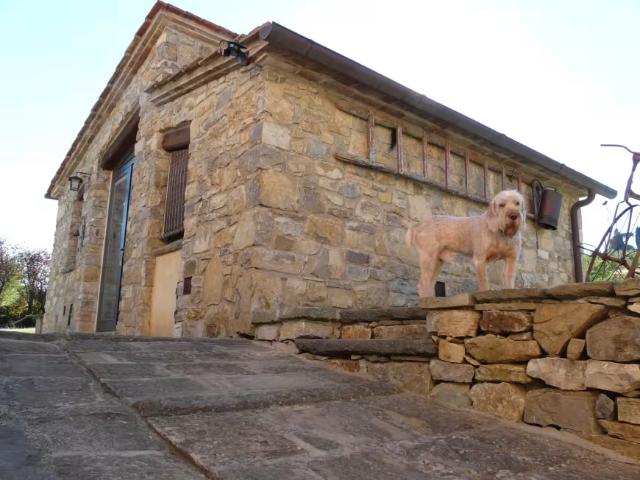 Fiesole Fiesole 50014 95923407