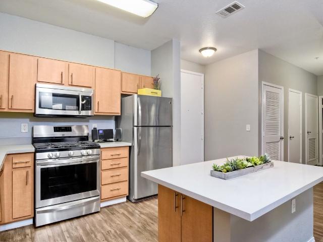 Fifty Twenty Five 4 Bedroom Apartment for Rent at 5025 Collwood Blvd, San Diego, CA 92115 College West