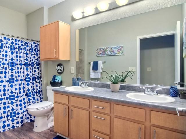 Fifty Twenty Five Studio Apartment for Rent at 5025 Collwood Blvd, San Diego, CA 92115 College West
