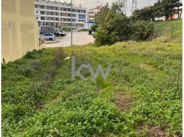 Figueira da Foz Figueira da Foz 104836252