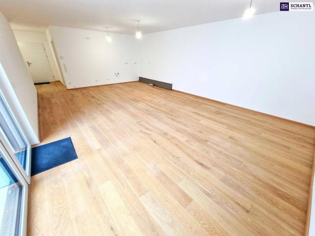 Fire Sale! Absolute Ruhelage mit Terrasse im Innenhof! Innovative Erdwärme + Perfekt aufgeteilte 3 Zimmer + Hochwertige Ausführung + Tiefgarage + Nachhaltig investiert! Jetzt zugreifen!