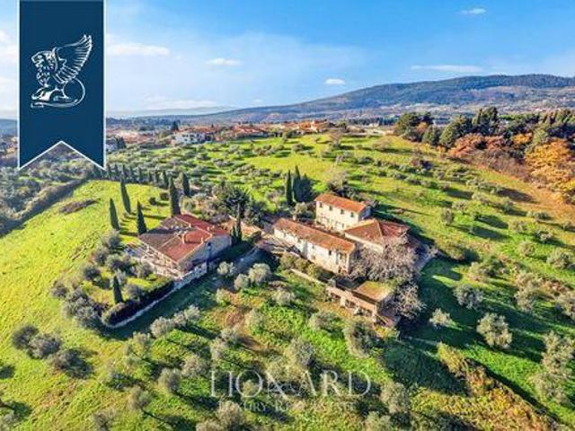 Firenze Firenze LS97103611