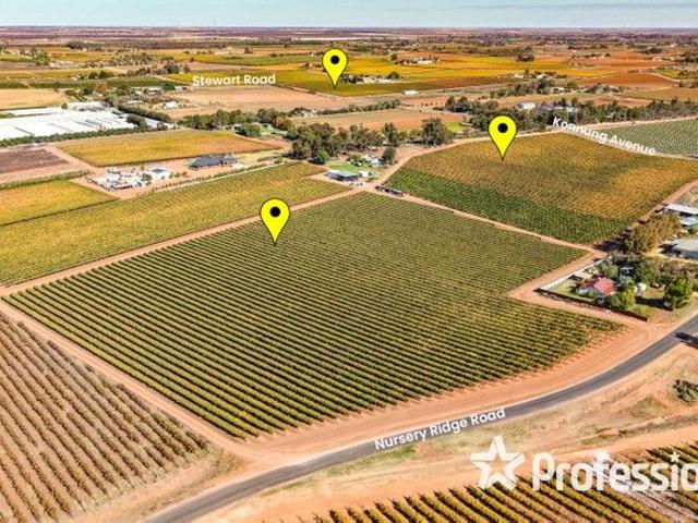 First Class 20Ha Table Grape Property