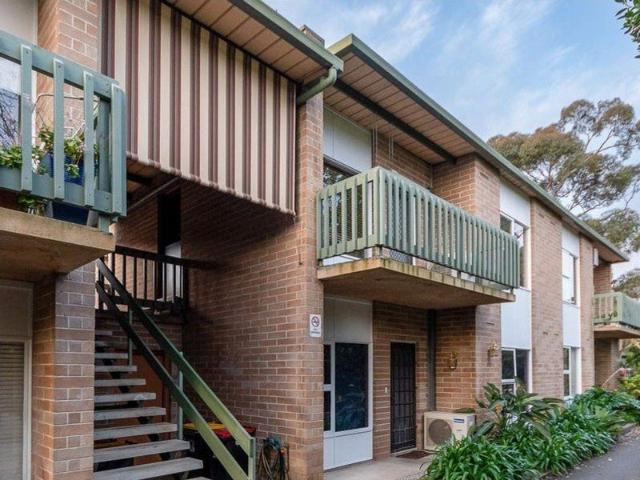 First Floor Unit Available 11/8/2026