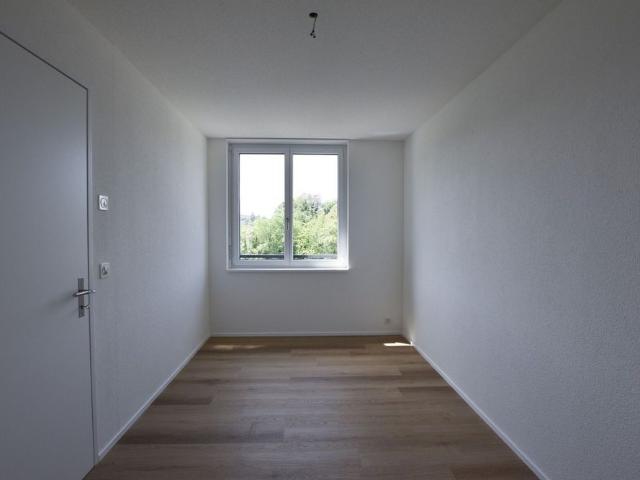 First occupancy 4.5 room apartment on the Emme