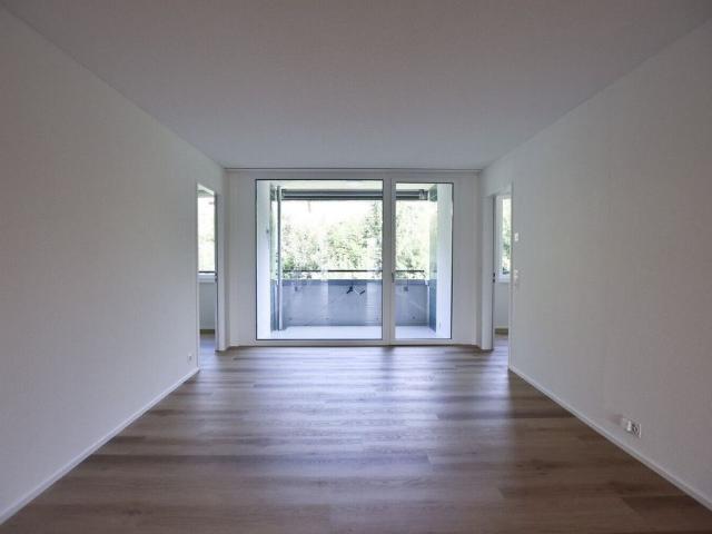 First occupancy 4.5 room apartment on the Emme