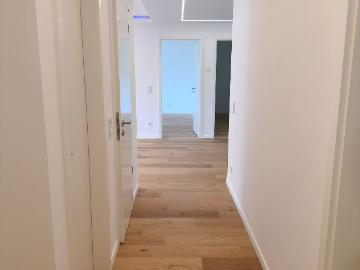 Schlachtensee, Kleinmachnow, Spreewald, Bundesland Brandenburg