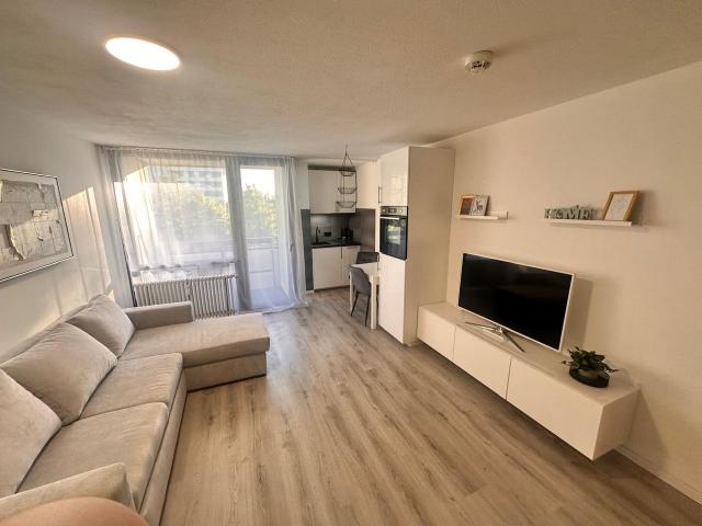 First occupancy after renovation – Stylishly furnished 1 room apartment with sleeping alcove & balcony overlooking a green courtyard, Nurnberg Amsterdam Apartments for Rent