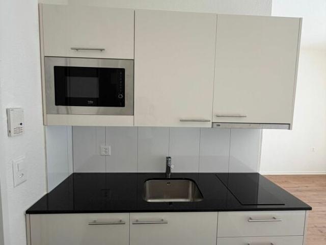 First occupancy freshly renovated 1 room apartment now for rent!