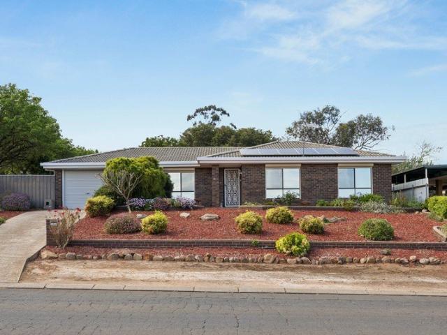First Open Saturday 10 Oct 12:00 12:30 pm