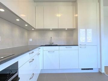 FIRST RENTAL 4.5 ROOM APARTMENT 140 m2 – TOTALLY RENOVATED – 3 BALCONIES – QUIET LOCATION IN SOLOTHURN