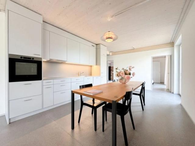 First rental New apartments in a modern industrial look