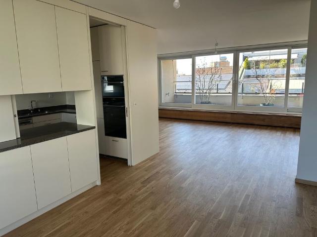 First rental: Newly renovated 6.5 room maisonette apartment with two terraces